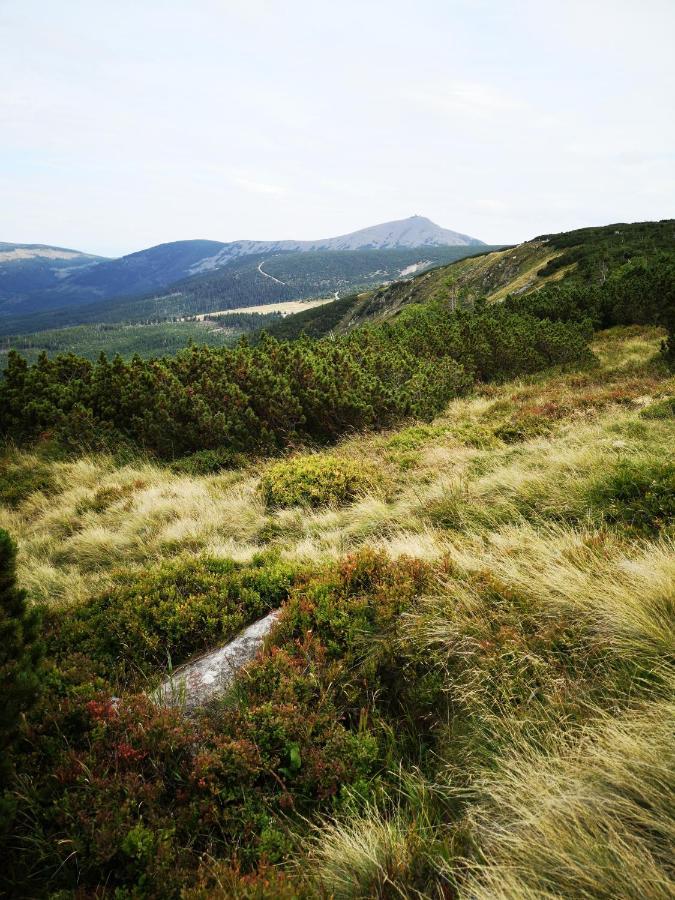 Apartament Malinowy Zakatek Triventi Mountain Residence Karpacz Exteriör bild